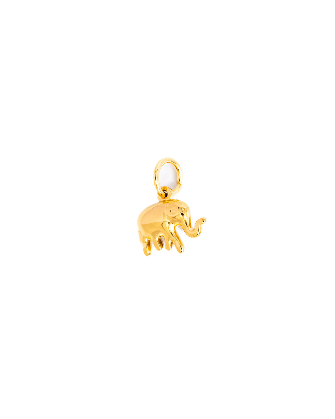Elephant Charm