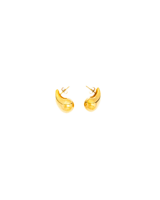 Drop Earrings