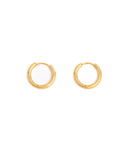 Small Essentials Hoops Earrings