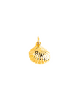 Shell Charm
