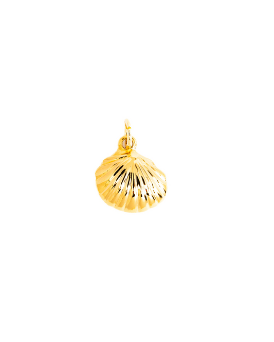 Shell Charm