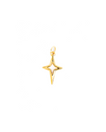 Star Charm